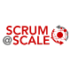 Scrum at Scale logo